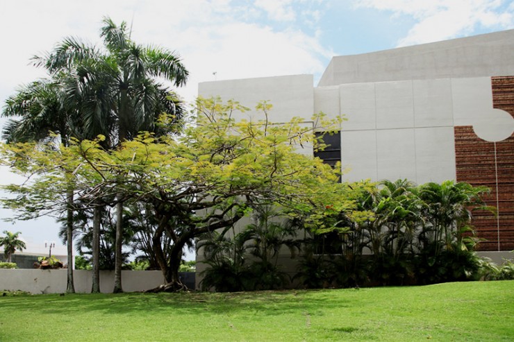 Royal Palm